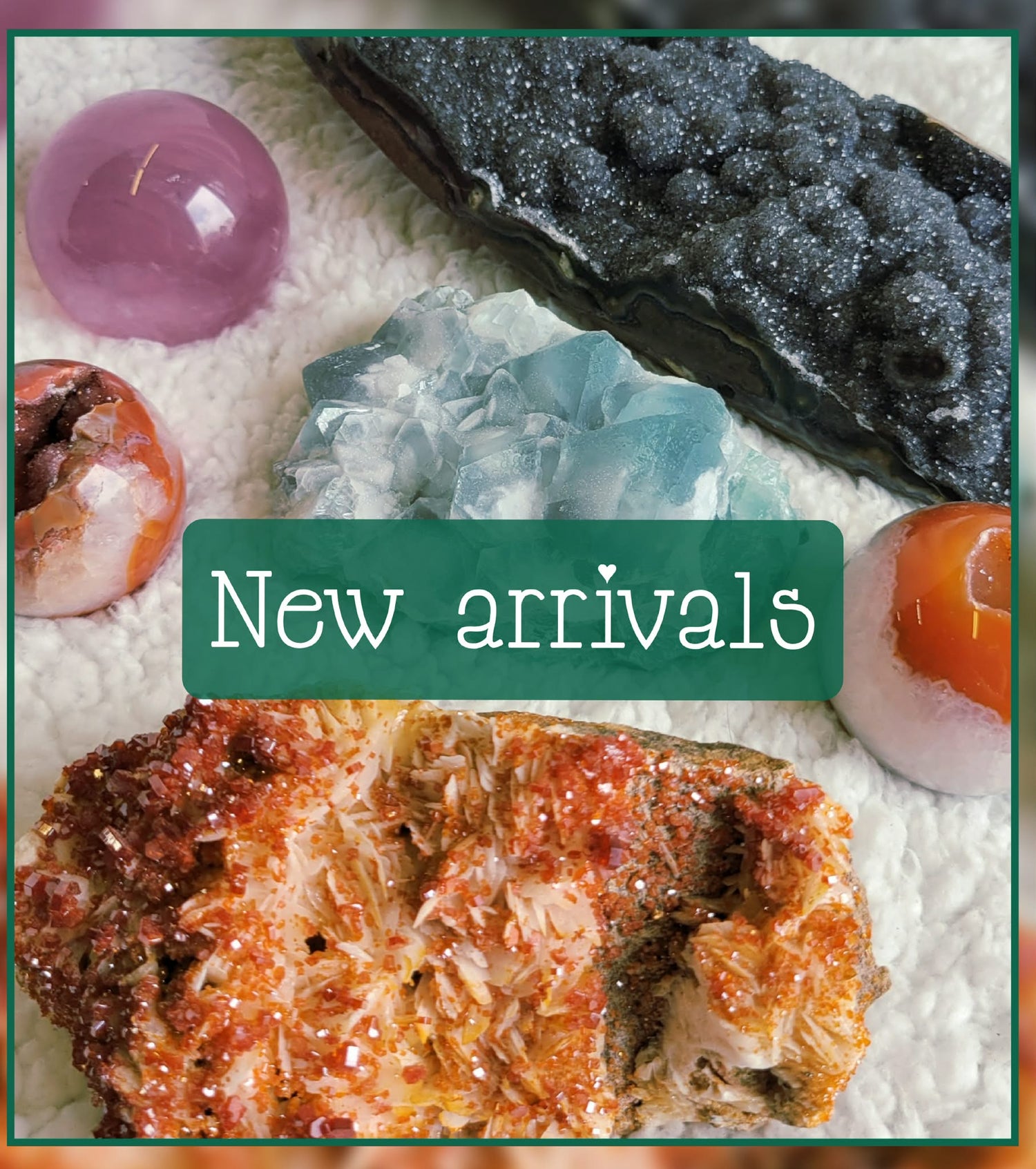 New Arrivals