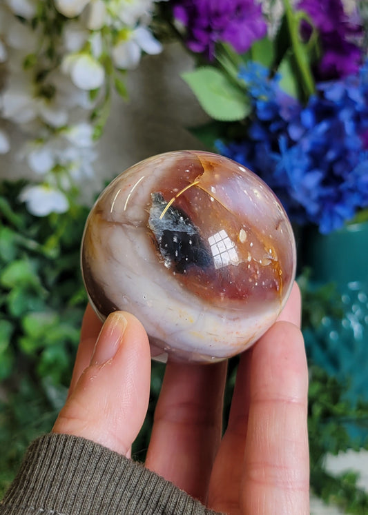 53mm Fossilized Petrified wood sphere