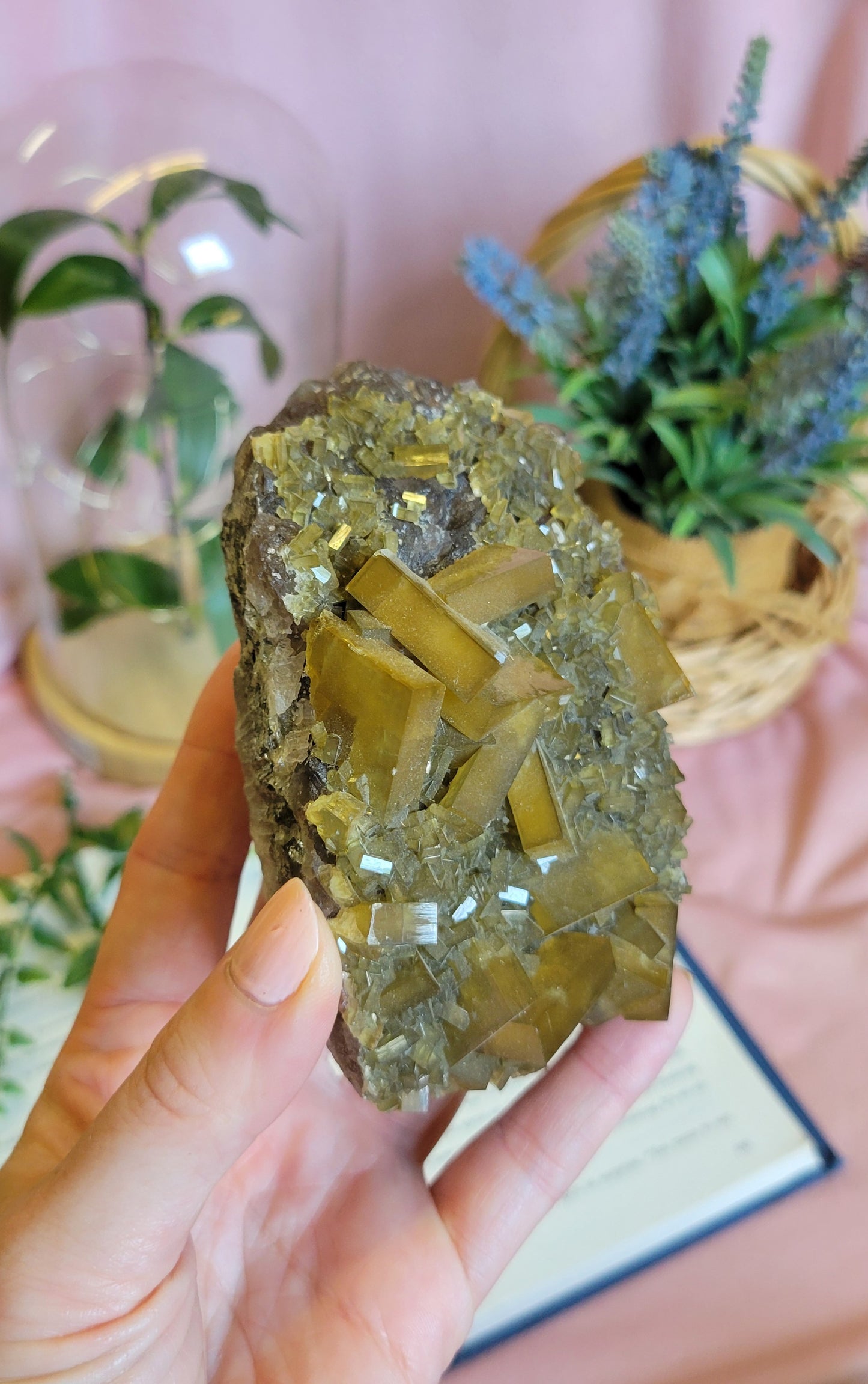 Golden Yellow Barite On Purple Botryoidal Fluorite