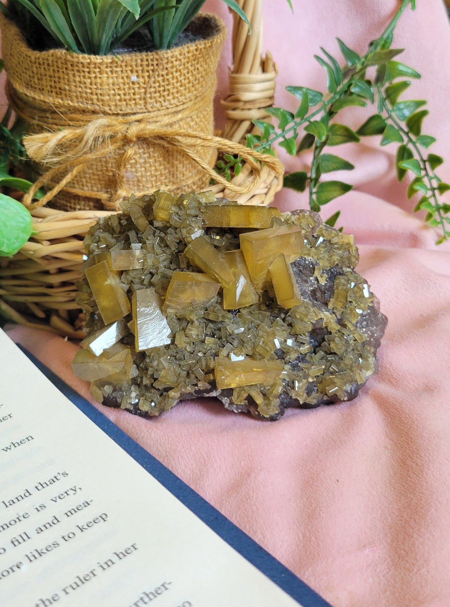 Golden Yellow Barite On Purple Botryoidal Fluorite