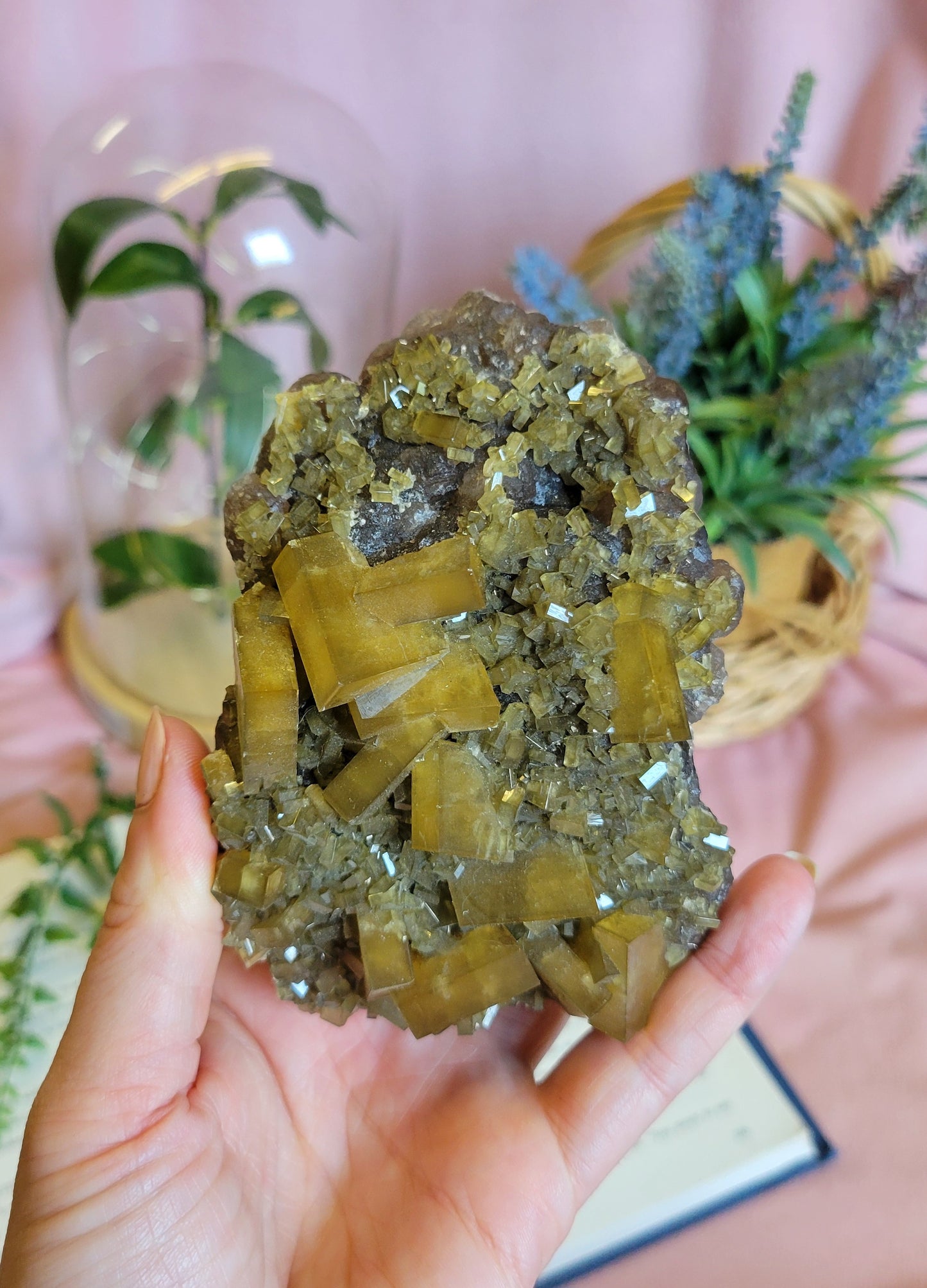 Golden Yellow Barite On Purple Botryoidal Fluorite