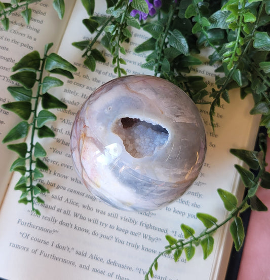 Druzy 75mm petrified wood sphere