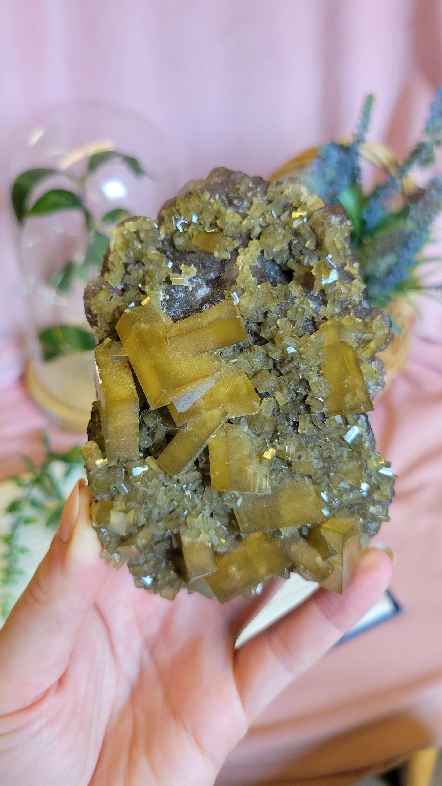 Golden Yellow Barite On Purple Botryoidal Fluorite