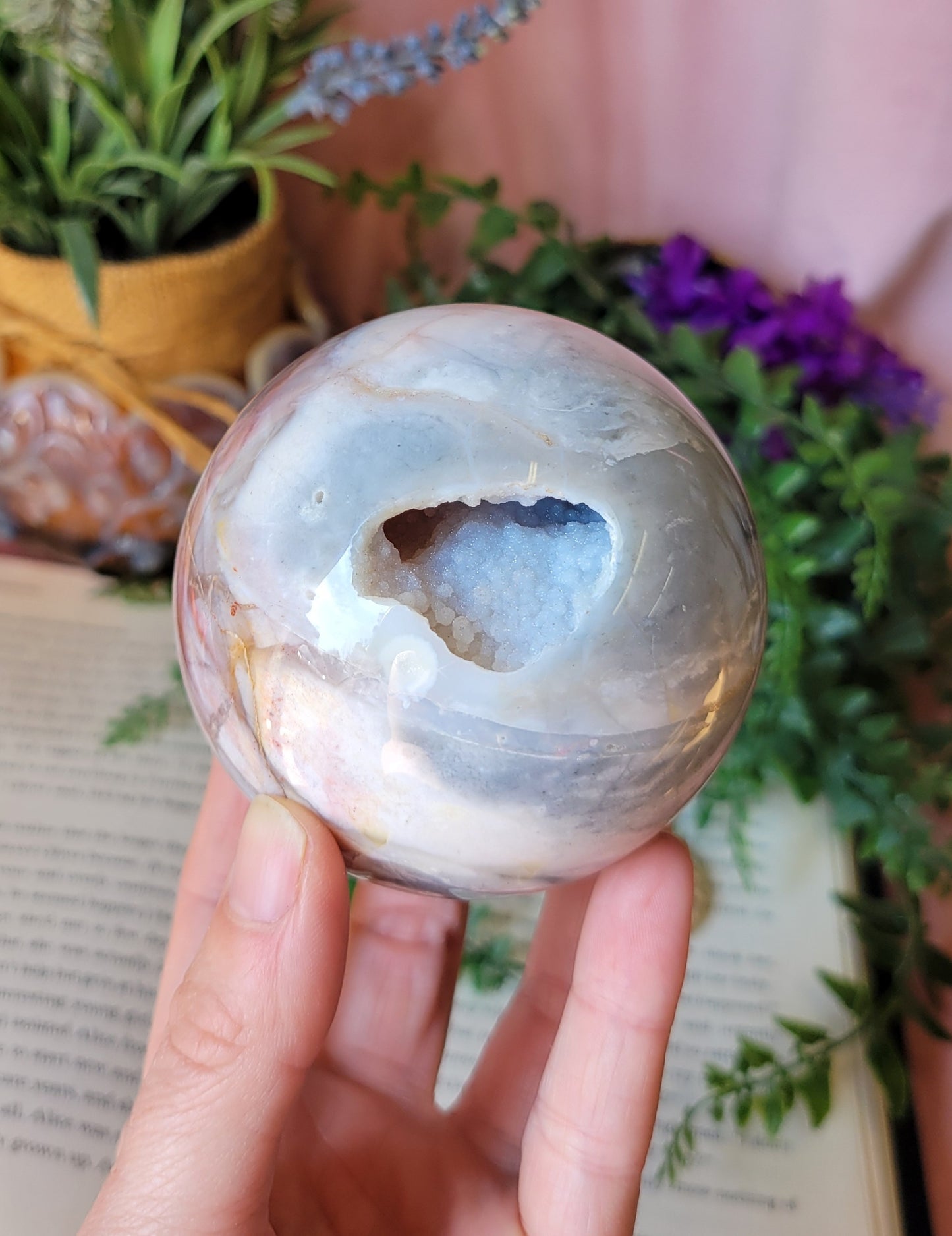Druzy 75mm petrified wood sphere