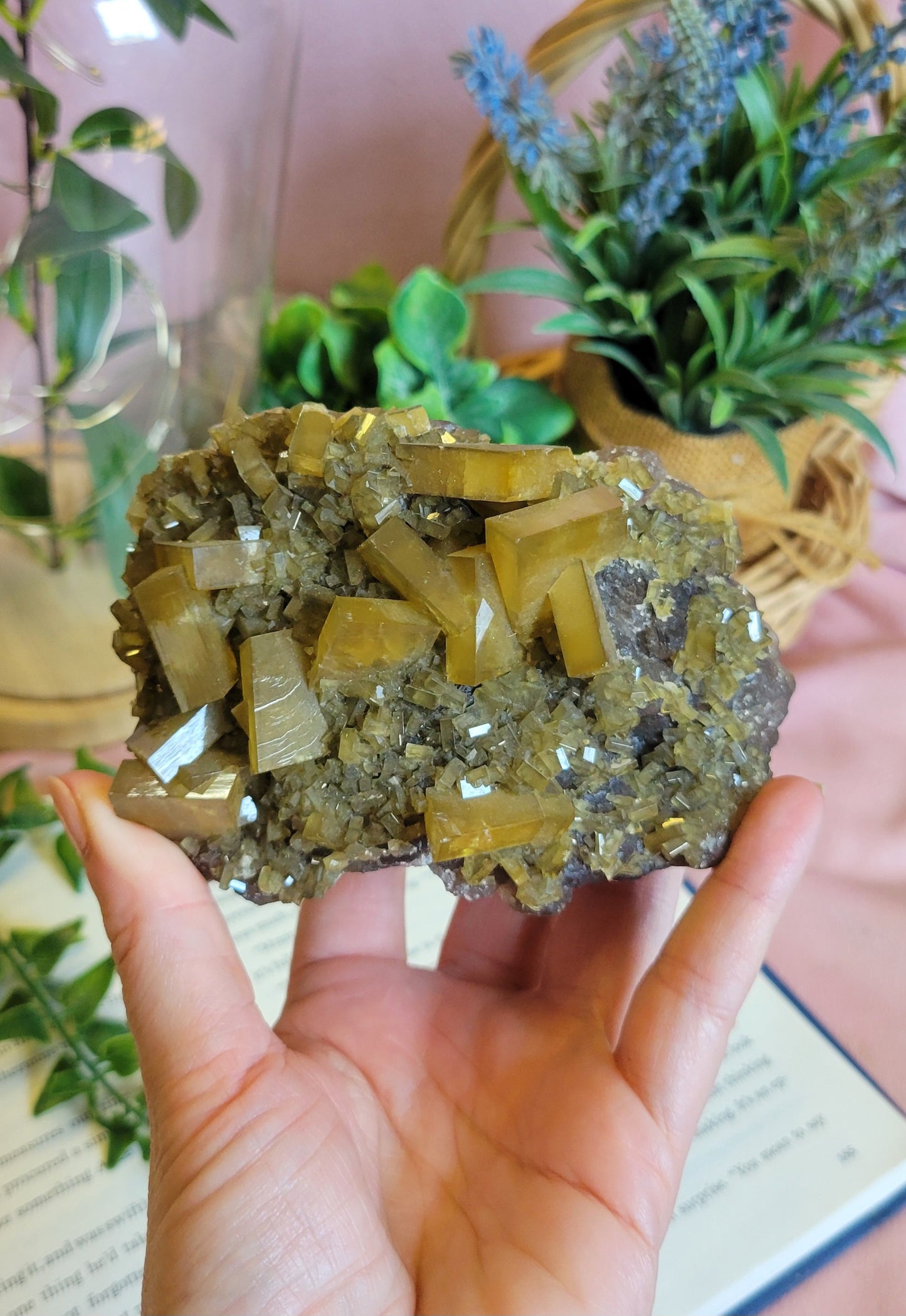 Golden Yellow Barite On Purple Botryoidal Fluorite